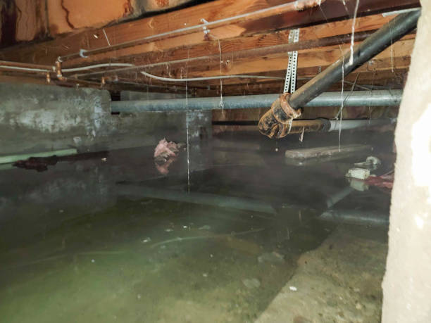 Professional Water damage restoration in IN