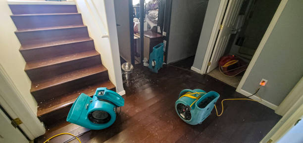 Best Flooded house restoration  in Fairview Park, IN