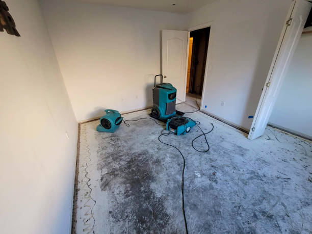 Best Sewage cleanup and water damage restoration  in Fairview Park, IN