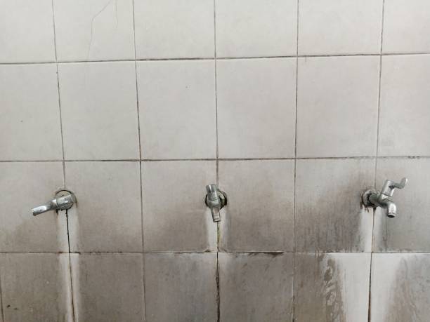 Best Water damage restoration process  in Fairview Park, IN