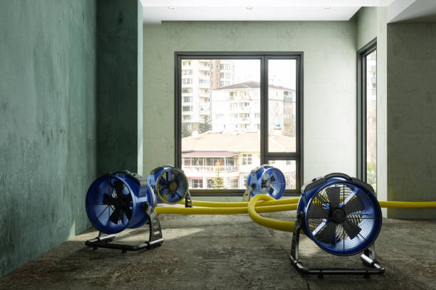 Best 24-hour water damage restoration  in Fairview Park, IN
