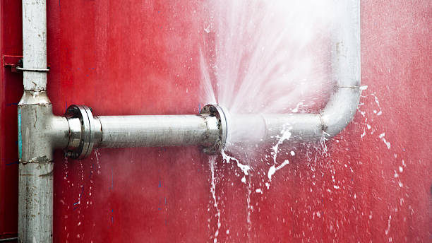 Best Flooded house restoration  in Fairview Park, IN