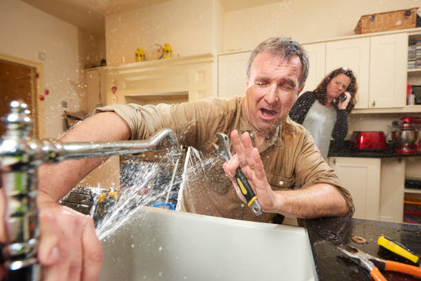 Best Carpet water damage restoration  in Fairview Park, IN